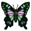 File:DogIsland purplespottedswallowtail.png