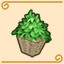 Gurumin achievement Potted Plant.jpg