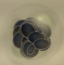 File:Spore egg.png