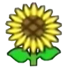 File:DogIsland sunflower.png