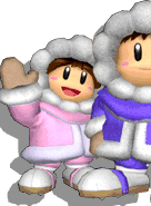 SSBM Portrait Ice Climbers.png