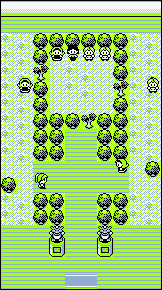 Celadon City: Pokémon Randomizer