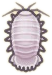 ACNH Giant Isopod.png