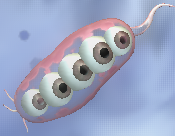 File:Spore cell.png
