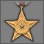 BSM achievement silver star.jpg