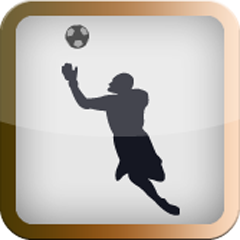 File:FIFA Soccer 11 achievement Established Keeper.png