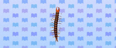ACNL centipede.png