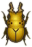 ACNH Golden Stag.png