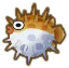 ACNH Puffer Fish.png