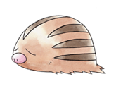 Pokemon 220Swinub.png