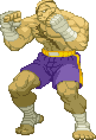 sagat street fighter 2