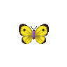 ACWW Yellow Butterfly.png