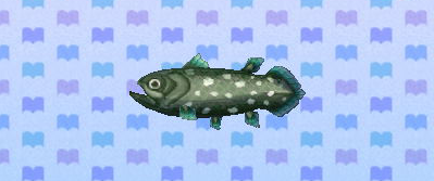 ACNL coelacanth.png