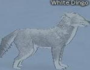 Mabinogi Monster White Dingo.png