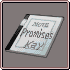 AAIME Promise Notebook.png