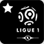 PES 2011 achievement Ligue 1.jpg