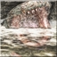 File:RE4 Do Not Shoot the Water! achievement.jpg