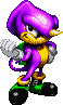 File:Knuckles Chaotix Espio.png