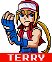 SVCMM Terry.png