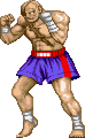 Super Street Fighter II Turbo, Street Fighter Wiki