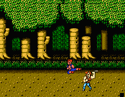jump in double dragon 2 nes