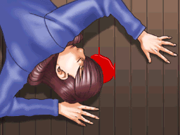 The First Turnabout - Ace Attorney Wiki - Neoseeker