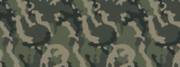 File:CoDMW2 Woodland Camo.png