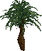 Tree ($24, 1x1)