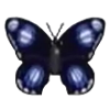 File:DogIsland commoneggflybutterfly.png