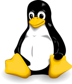 The console image for Linux.