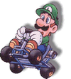 SMK Luigi Racer Art.png