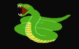 II. Python (55 exp.) IV. Anaconda (62 exp.)