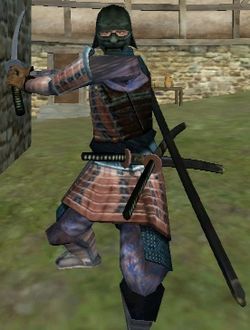 Mount&Blade strange set.jpg