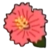 DogIsland hibiscus.png