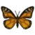 DogIsland monarchbutterfly.png