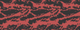 CoDMW2 Red Tiger Camo.png