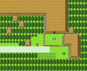 Pokémon HeartGold and SoulSilver/Route 30 — StrategyWiki