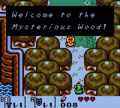 Zelda LA owl Mysterious Forest.png