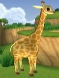 DogIsland giraffe.jpg