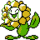 Sunflora