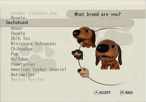 the dog island wii game