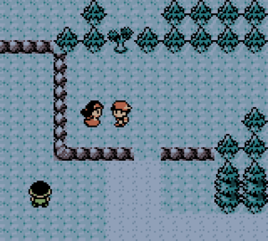 Route 29, Johto Odyssey