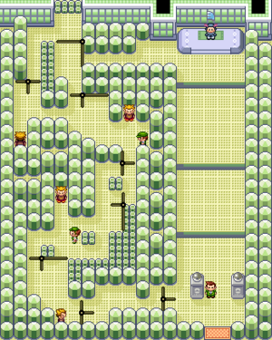 Pokemon Emerald All GYM Location by Story (8 GYM) 