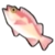 DogIsland tigerrockfish.png
