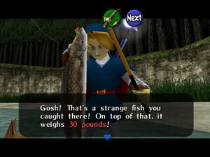 Newly-discovered Zelda: Ocarina of Time glitch lets you use any item as  child or adult Link