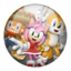 Sonic&Sega ASR Fighters Megamix achievement.png