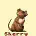 Ultima6 portrait c1 Sherry.png