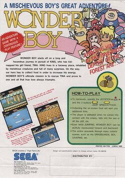 Box artwork for Wonder Boy.