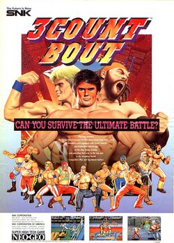 Box artwork for 3 Count Bout.