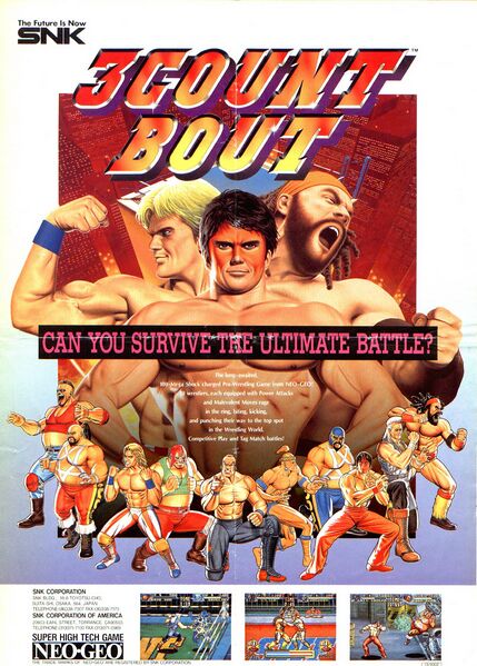 File:3 Count Bout arcade flyer.jpg